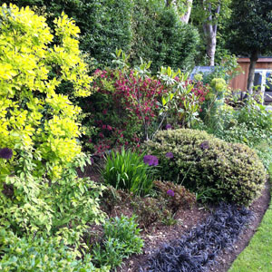 planting image